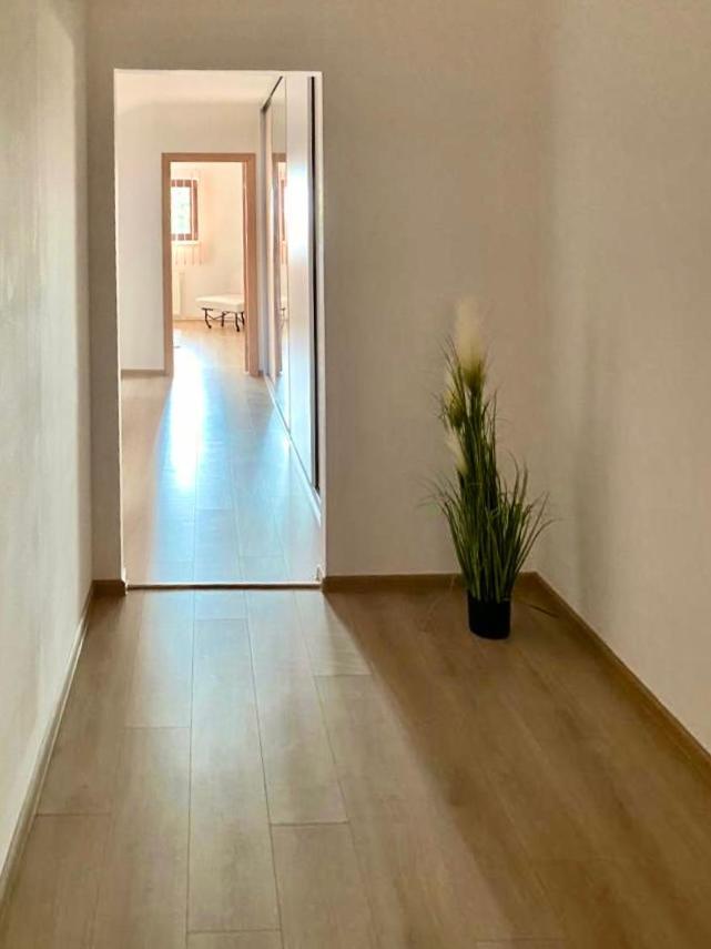 Casa Dima Hotel Constanta Luaran gambar